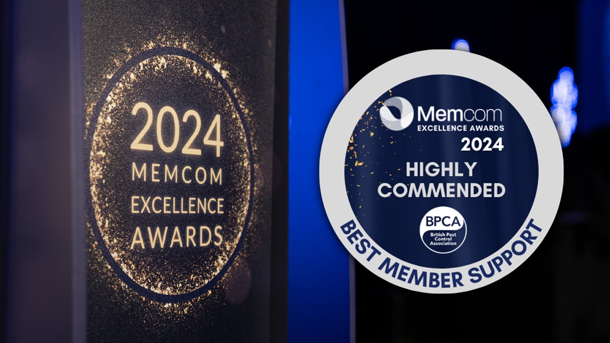 bpca-highly-commended-memcom-2024-hero